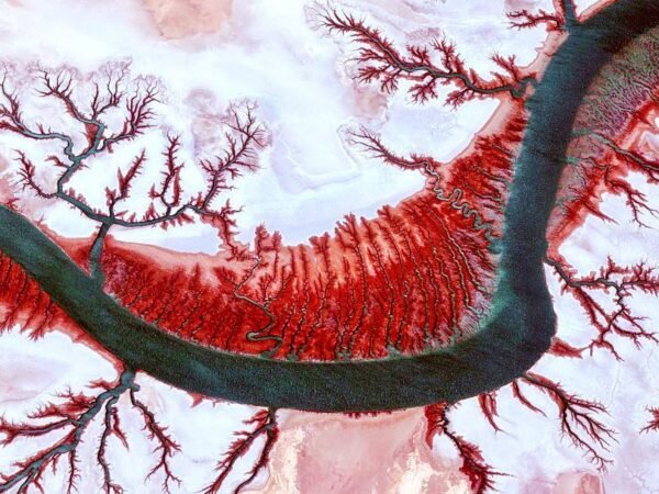 30°30'05.08" N 48°52'30.29" E 30°30'05.08" N 48°52'30.29" E #Shadegan wildlife refuge/ #Khuzestan - Iran. This river is one of the branches of the #Karun River. Due to the presence of sewage and salinity, the water becomes red in some seasons