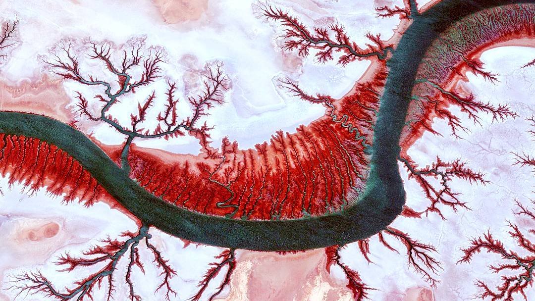 30°30'05.08" N 48°52'30.29" E 30°30'05.08" N 48°52'30.29" E #Shadegan wildlife refuge/ #Khuzestan - Iran. This river is one of the branches of the #Karun River. Due to the presence of sewage and salinity, the water becomes red in some seasons