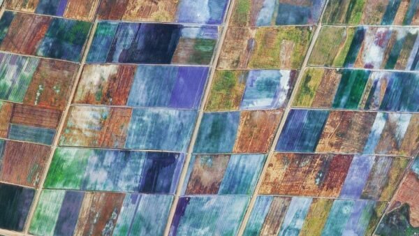 untitled_maps No. 002